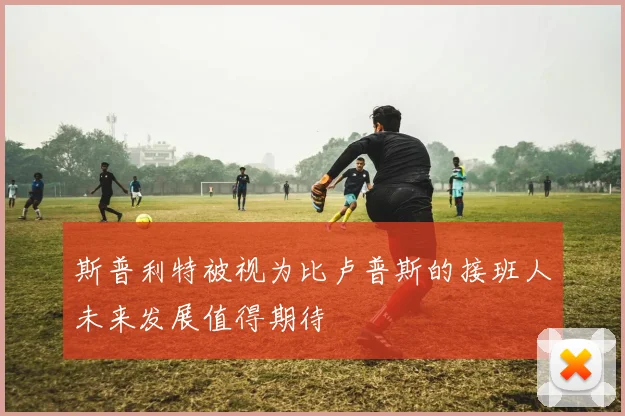 斯普利特被视为比卢普斯的接班人未来发展值得期待