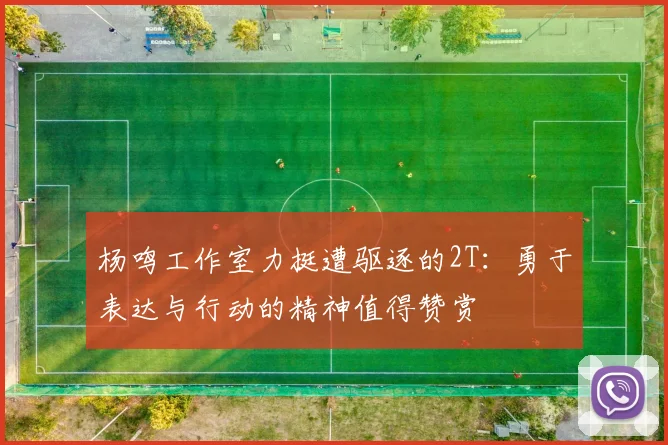 杨鸣工作室力挺遭驱逐的2T：勇于表达与行动的精神值得赞赏