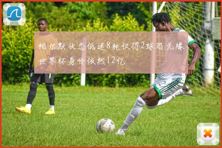 帕尔默状态低迷8轮仅得2球恐无缘世界杯身价依然12亿