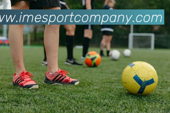 App Interface Preview