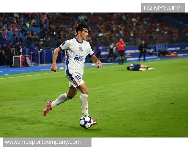 申花亚冠战役吸引30645名观众现场助威成功破三万大关